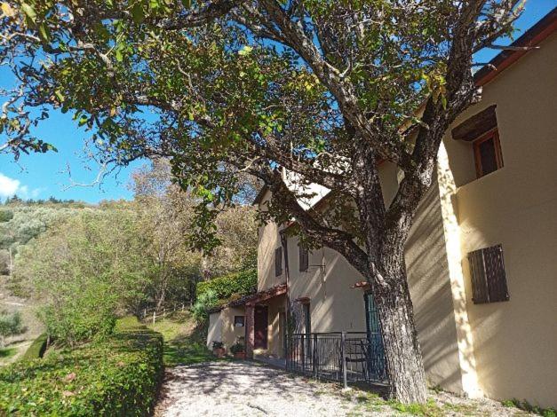 Agriturismo Il Giardino Pontassieve Εξωτερικό φωτογραφία